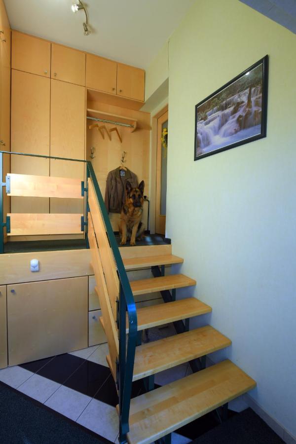 Ferienappartement Regina Schrems  Exterior foto